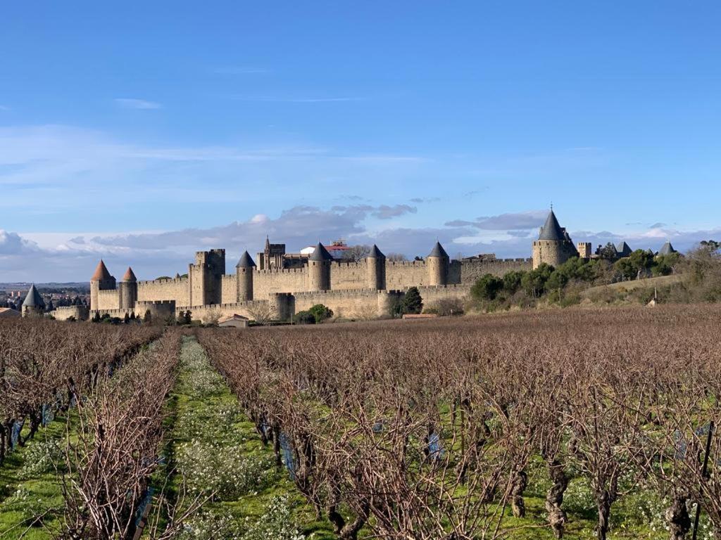 La Cour Carree - Chambres D'Hotes Carcassonne Exteriör bild